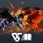 Sabong - nóng - 333win bet